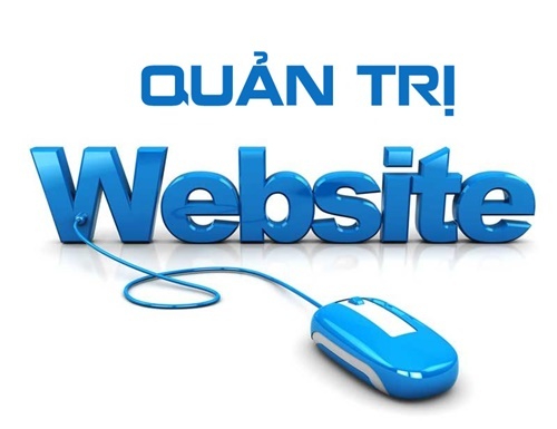 Dịch vụ quản trị web: Nền tảng tối ưu dành cho kênh thương mại trực tuyến 