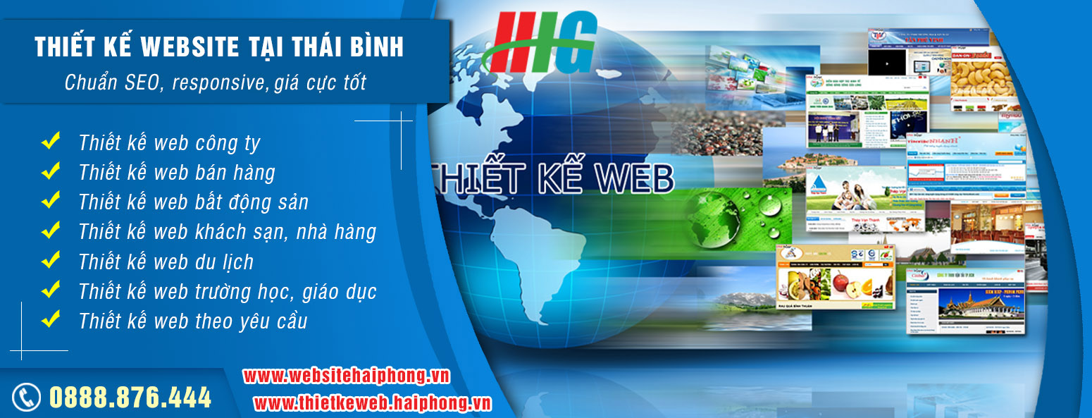 Dịch vụ thiết kế website tại Thái Bình giá rẻ chuẩn SEO - Ảnh 2