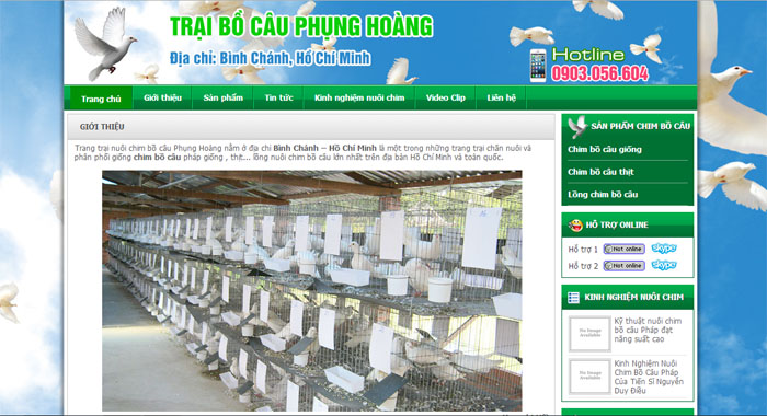 Thiết kế web Trang trại chim bồ câu Phụng Hoàng tại Hồ Chí Mính
